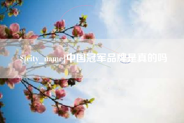 驻马店中国冠军品牌是真的吗