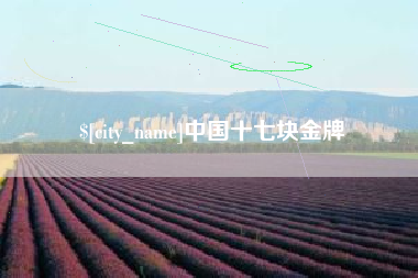 驻马店中国十七块金牌