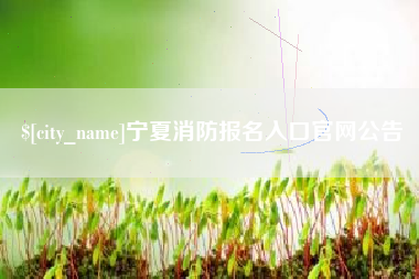 驻马店宁夏消防报名入口官网公告