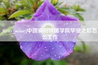 驻马店中国消防救援学院毕业之后怎么工作
