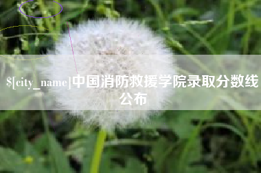 驻马店中国消防救援学院录取分数线公布