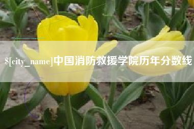 驻马店中国消防救援学院历年分数线