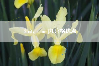 驻马店九宫格优点