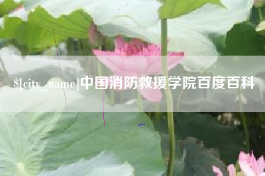 驻马店中国消防救援学院百度百科