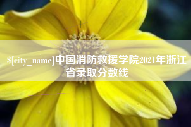 驻马店中国消防救援学院2021年浙江省录取分数线