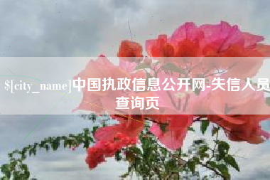 驻马店中国执政信息公开网-失信人员查询页