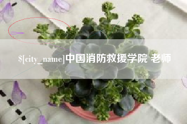 驻马店中国消防救援学院 老师