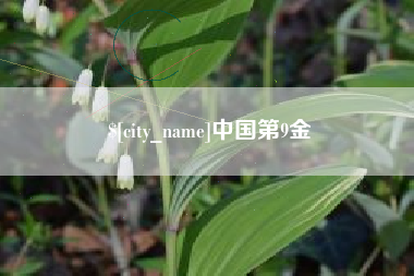 驻马店中国第9金