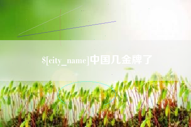 驻马店中国几金牌了