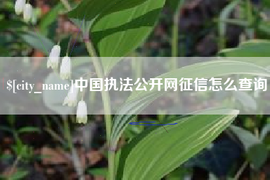 驻马店中国执法公开网征信怎么查询
