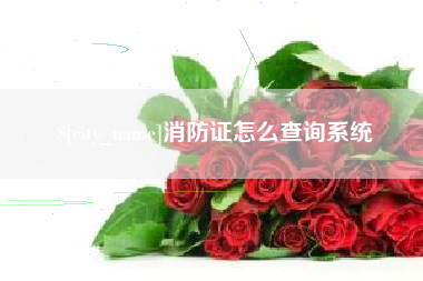 驻马店消防证怎么查询系统