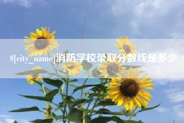 驻马店消防学校录取分数线是多少