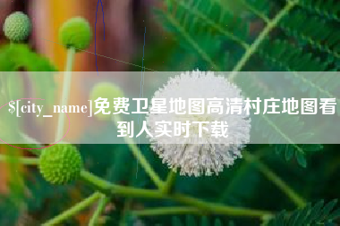 驻马店免费卫星地图高清村庄地图看到人实时下载