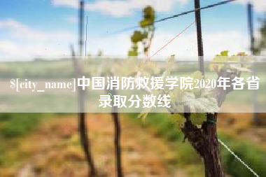 驻马店中国消防救援学院2020年各省录取分数线