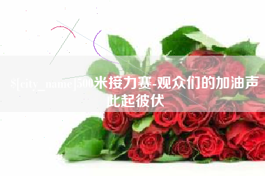 驻马店500米接力赛-观众们的加油声此起彼伏
