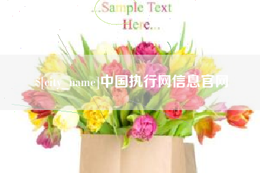 驻马店中国执行网信息官网