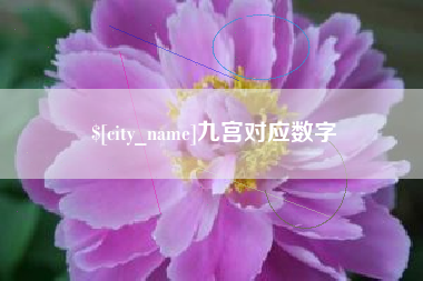驻马店九宫对应数字