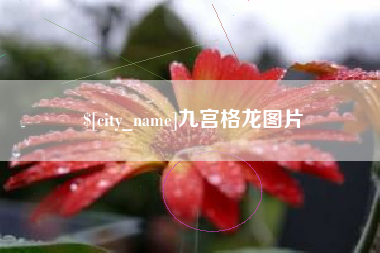 驻马店九宫格龙图片