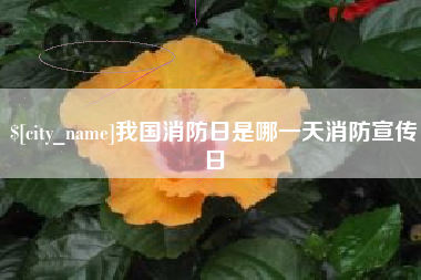 驻马店我国消防日是哪一天消防宣传日