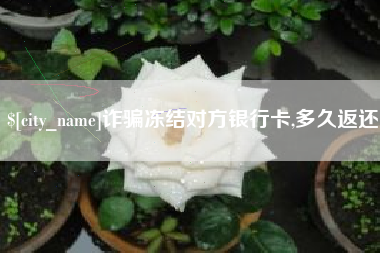驻马店诈骗冻结对方银行卡,多久返还