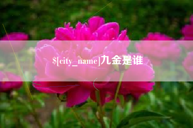 驻马店九金是谁