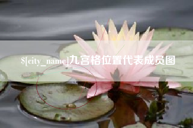 驻马店九宫格位置代表成员图