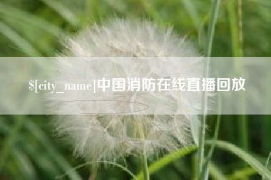 驻马店中国消防在线直播回放