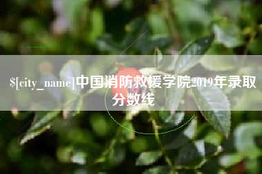 驻马店中国消防救援学院2019年录取分数线