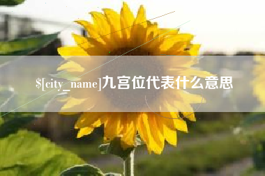驻马店九宫位代表什么意思