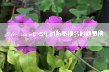 驻马店2025年消防员报名时间表格