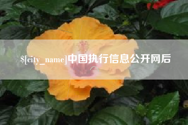 驻马店中国执行信息公开网后