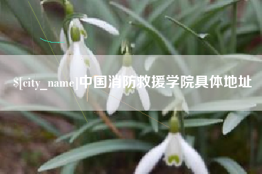 驻马店中国消防救援学院具体地址