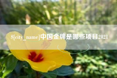 驻马店中国金牌是哪些项目2021