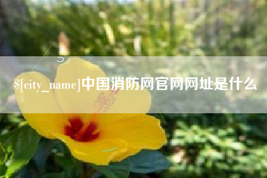 驻马店中国消防网官网网址是什么