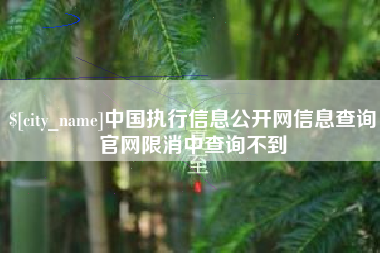 驻马店中国执行信息公开网信息查询官网限消中查询不到