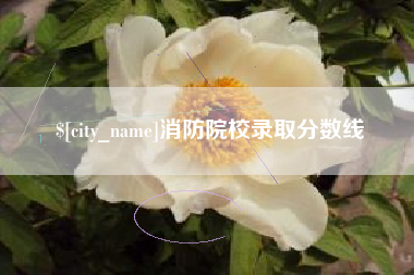 驻马店消防院校录取分数线
