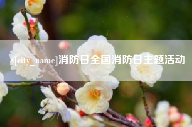 驻马店消防日全国消防日主题活动