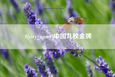 驻马店中国九枚金牌