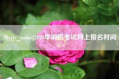 驻马店2020年消防考试网上报名时间