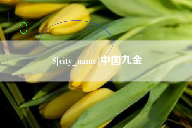 驻马店中国九金