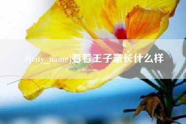 驻马店看看王子豪长什么样