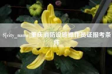 驻马店重庆消防设施操作员证报考条件