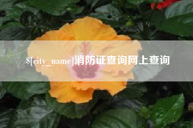 驻马店消防证查询网上查询