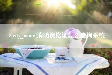 驻马店消防资格证怎么查询系统