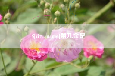 驻马店第九金是
