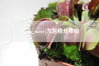 驻马店九宫格分布图