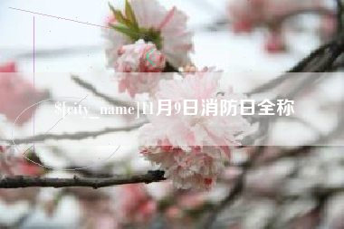 驻马店11月9日消防日全称