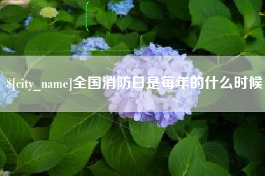 驻马店全国消防日是每年的什么时候