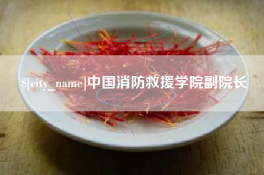 驻马店中国消防救援学院副院长