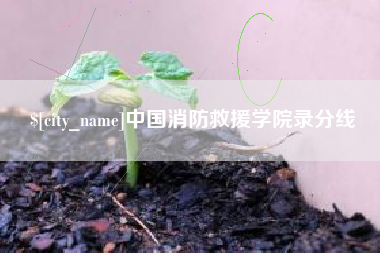 驻马店中国消防救援学院录分线